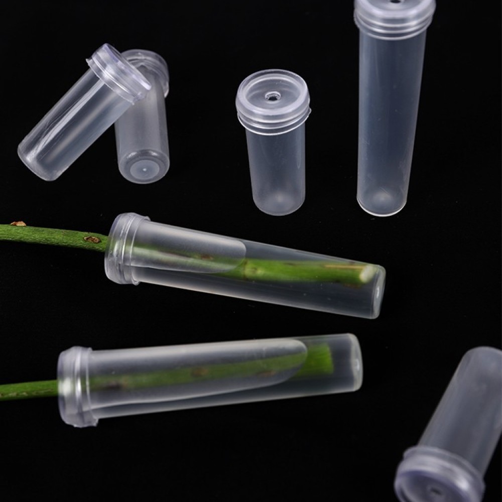 Florist Supply Wholesale - Taze Çiçekler İçin Uzun Süreli Çiçek