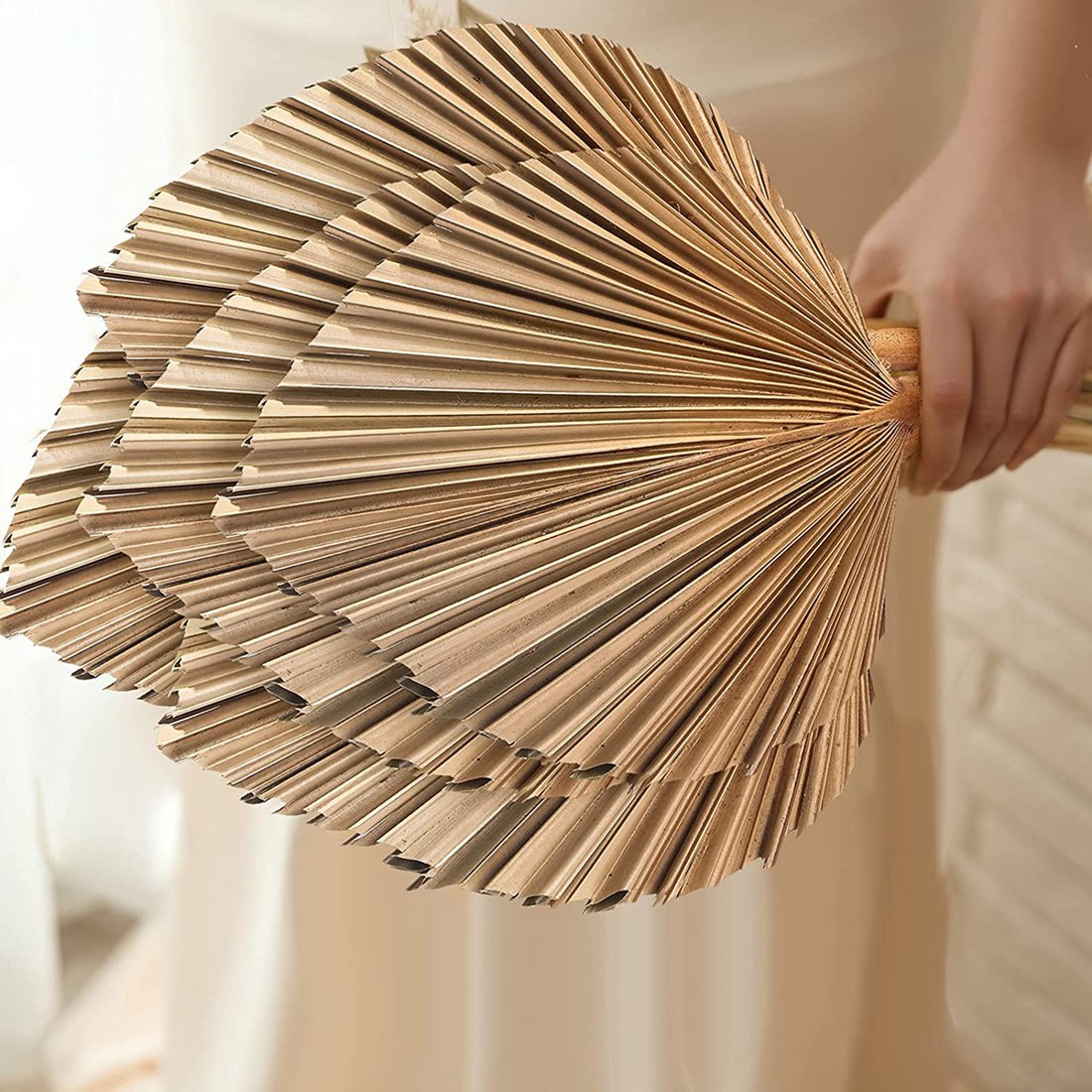 Palm Leaf Dried - 5 Adet Doğal Kurutulmuş Palmiye Yaprakları