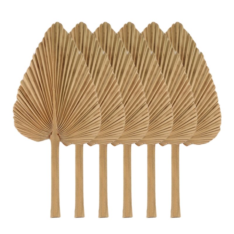 Palm Leaf Dried - AT84-6PCS Kurutulmuş Palmiye Yaprakları Doğal Kurutulmuş