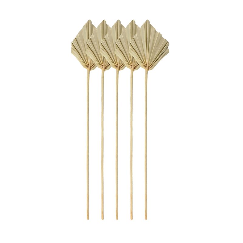 Palm Leaf Dried - A67P-Boho Kurutulmuş Palmiye Sivri Uçları Küçük