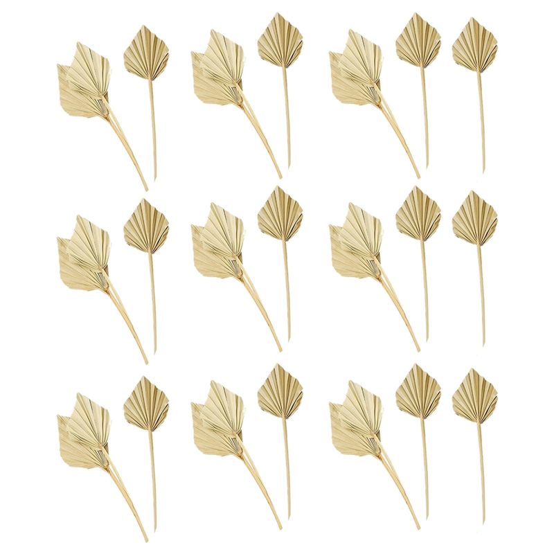 Palm Leaf Dried - AS60-30 Adet Boho Kuru Palmiye Sapanları
