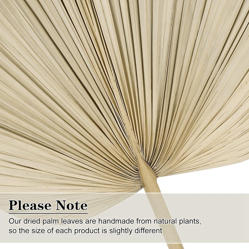 Palm Leaf Dried - Yeni 6 ADET Kurutulmuş Palmiye Yaprakları