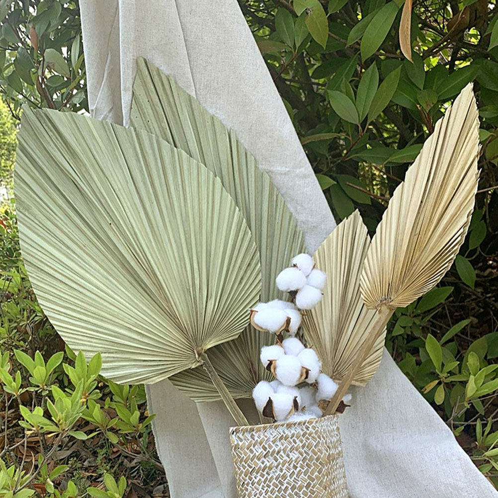 1 Adet Doğal Kurutulmuş Palmiy - Palm Leaf Dried incelemesi ve fiyatı