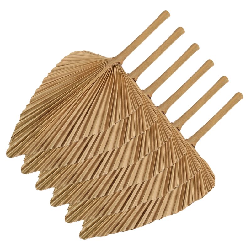 AT84-6PCS Kurutulmuş Palmiye Y - Palm Leaf Dried incelemesi ve fiyatı