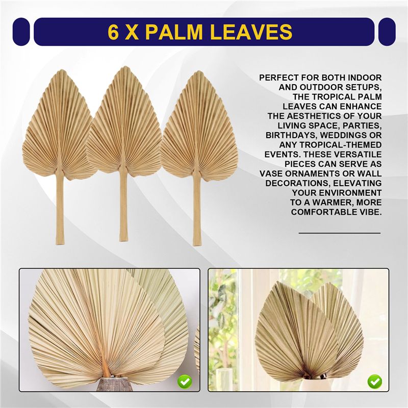 AT84-6PCS Kurutulmuş Palmiye Y - Palm Leaf Dried incelemesi ve fiyatı