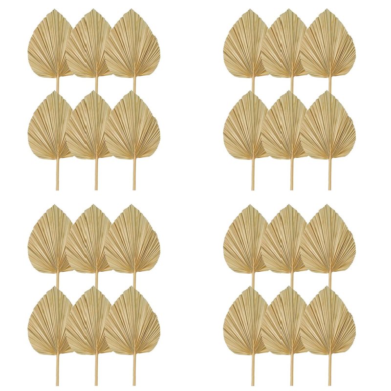 【NOEL】24 adet kurutulmuş palmi - Palm Leaf Dried incelemesi ve fiyatı