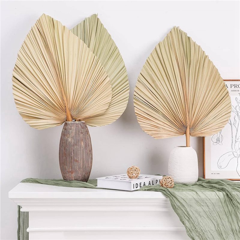 【NOEL】24 adet kurutulmuş palmi - Palm Leaf Dried incelemesi ve fiyatı