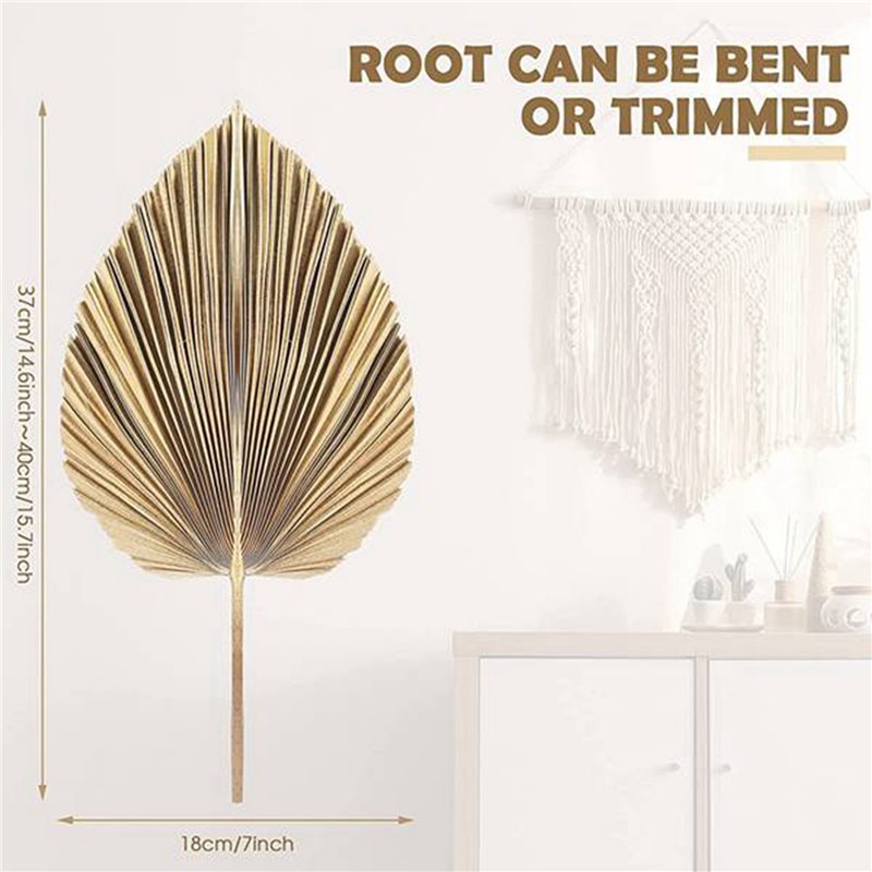 【NOEL】24 adet kurutulmuş palmi - Palm Leaf Dried incelemesi ve fiyatı