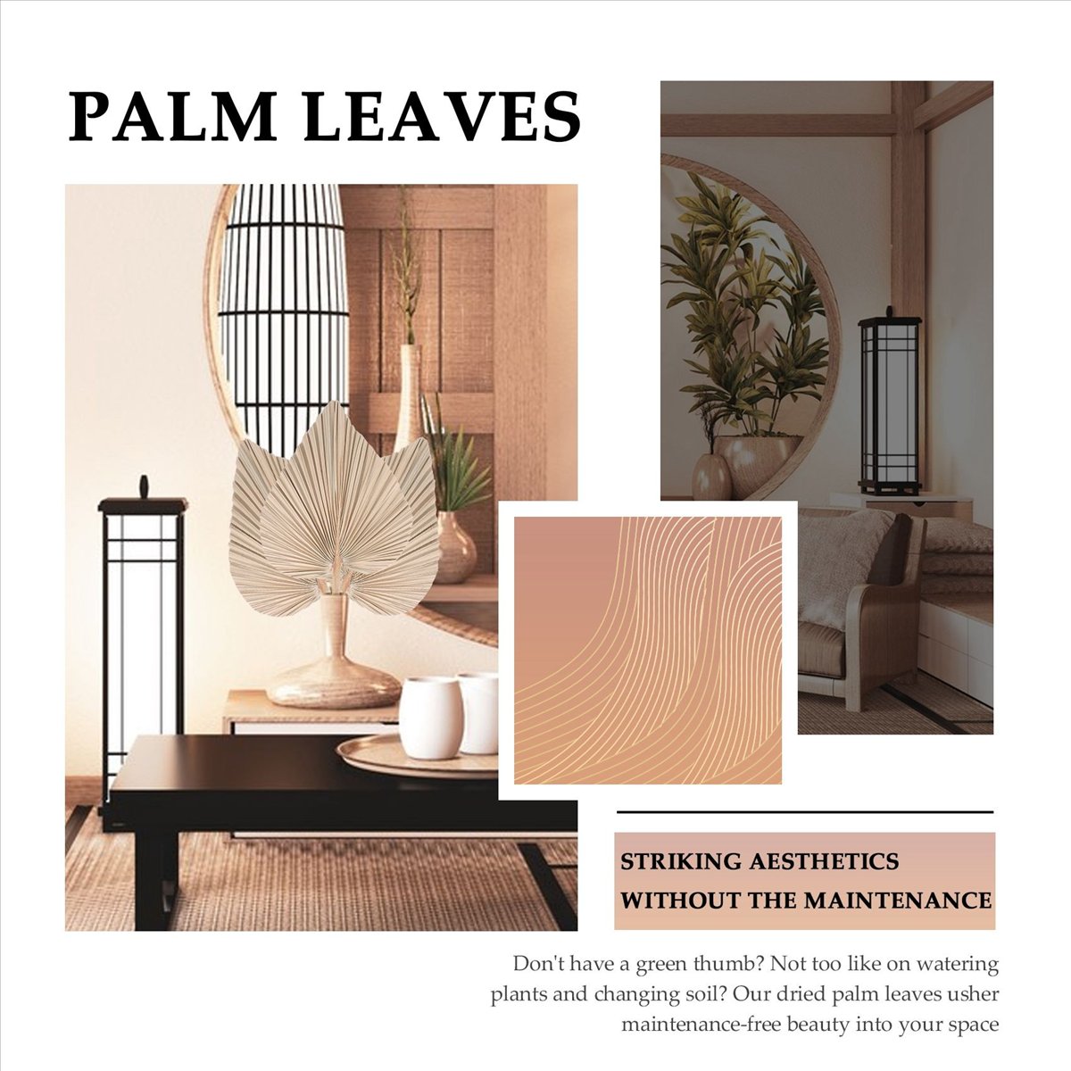 NOCM Kurutulmuş Palmiye Yaprak - Palm Leaf Dried incelemesi ve fiyatı