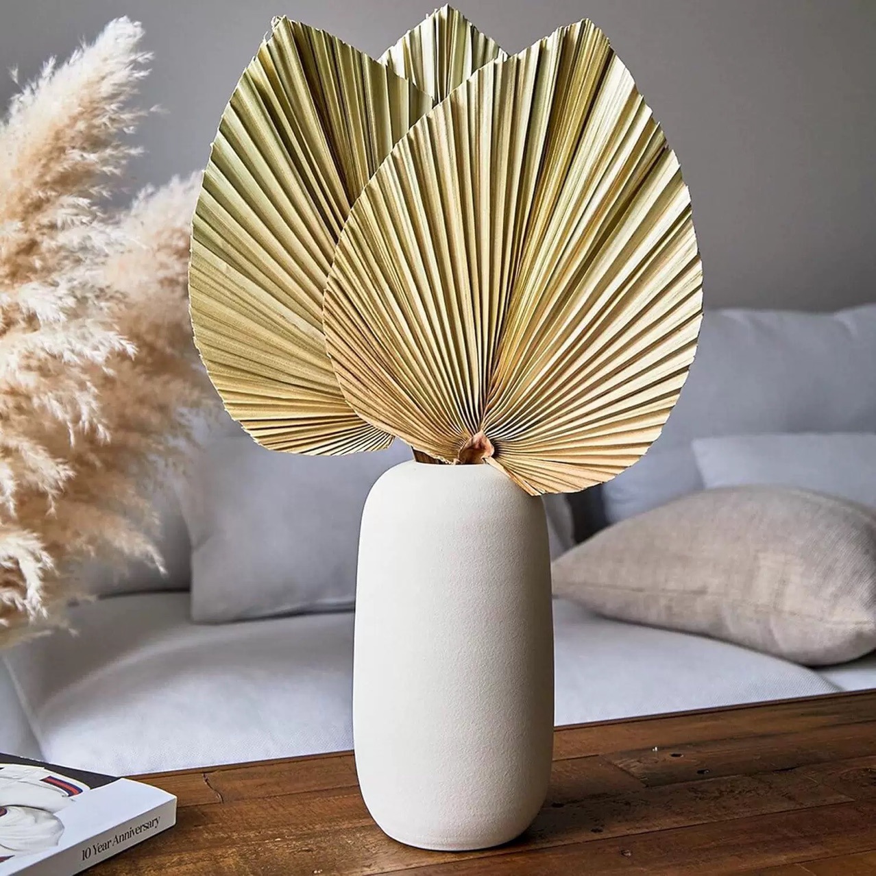 3 Adet Doğal Kurutulmuş Palmiy - Palm Leaf Dried incelemesi ve fiyatı