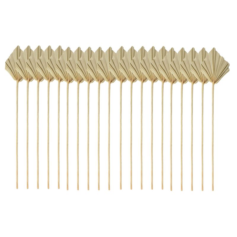 ABYN-Boho Kurutulmuş Palmiye S - Palm Leaf Dried incelemesi ve fiyatı