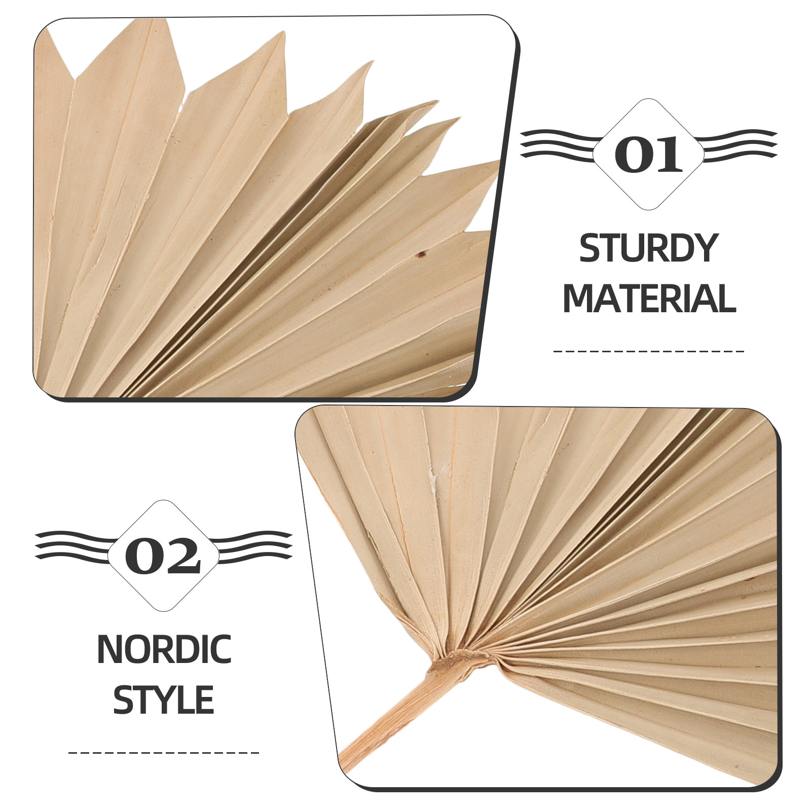 4 Adet Kurutulmuş Palmiye Yapr - Palm Leaf Dried incelemesi ve fiyatı