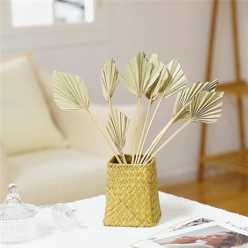 AS60-30 Adet Boho Kuru Palmiye - Palm Leaf Dried incelemesi ve fiyatı