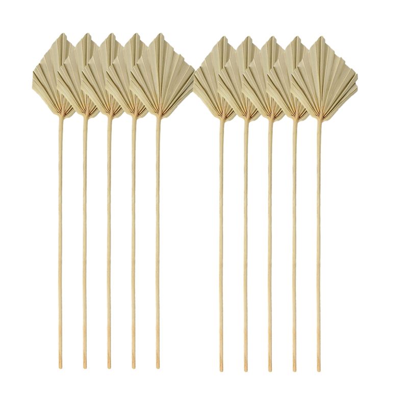 TFORU-Boho Kurutulmuş Palmiye  - Palm Leaf Dried incelemesi ve fiyatı