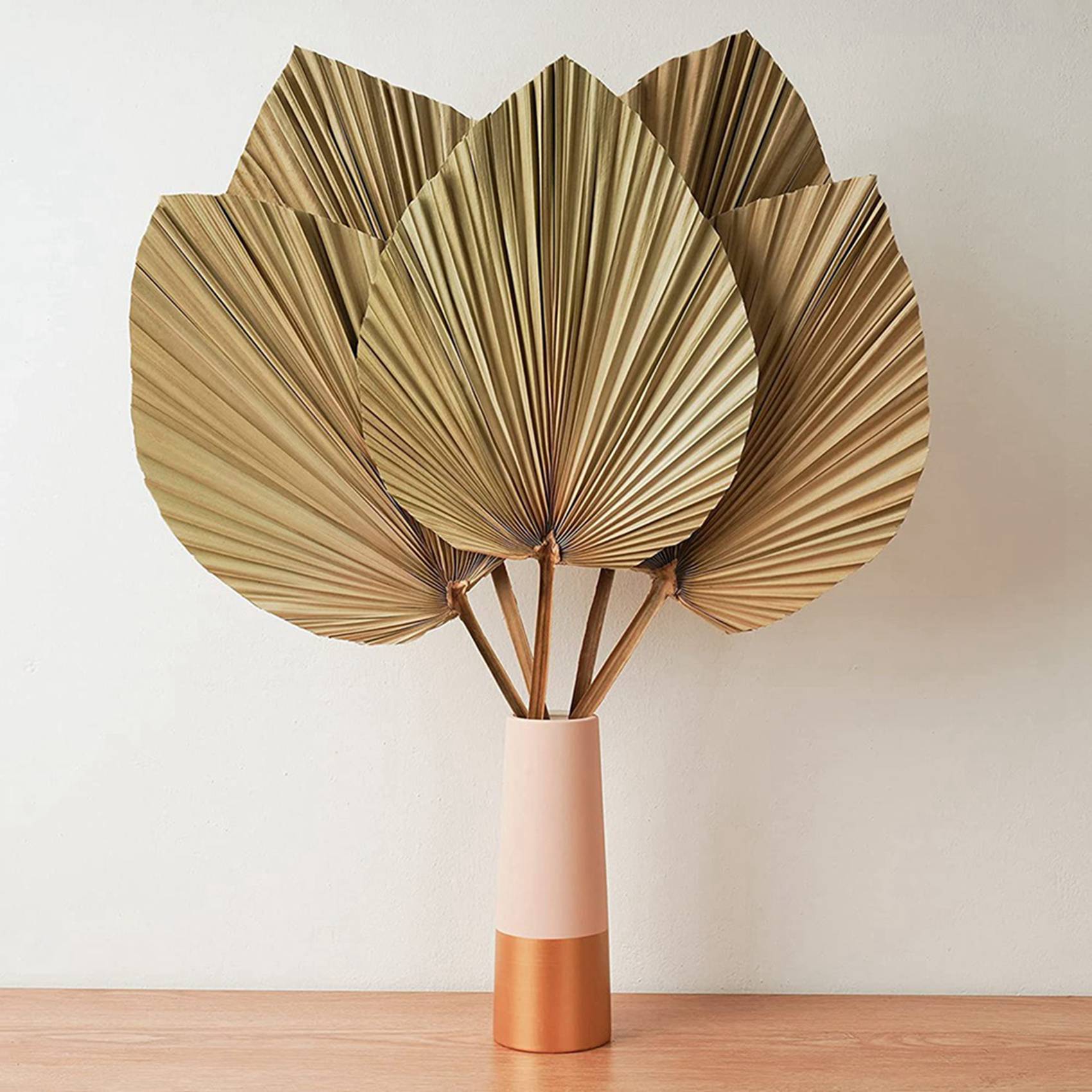 Kurutulmuş Palmiye Yaprakları  - Palm Leaf Dried incelemesi ve fiyatı