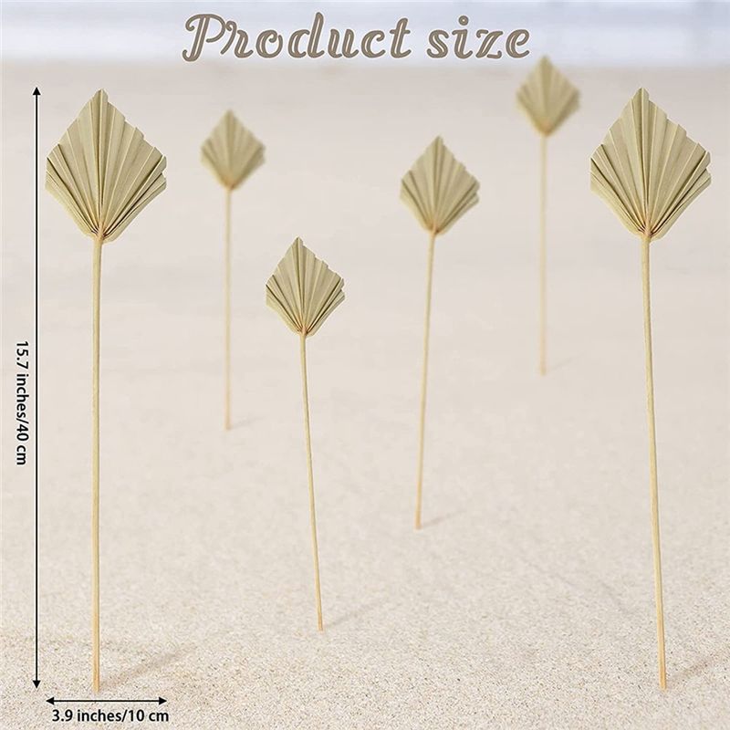 A36T-30 Adet Boho Kurutulmuş P - Palm Leaf Dried incelemesi ve fiyatı