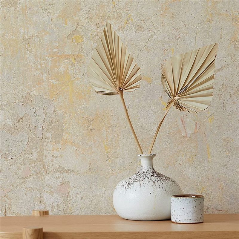 A36T-30 Adet Boho Kurutulmuş P - Palm Leaf Dried incelemesi ve fiyatı