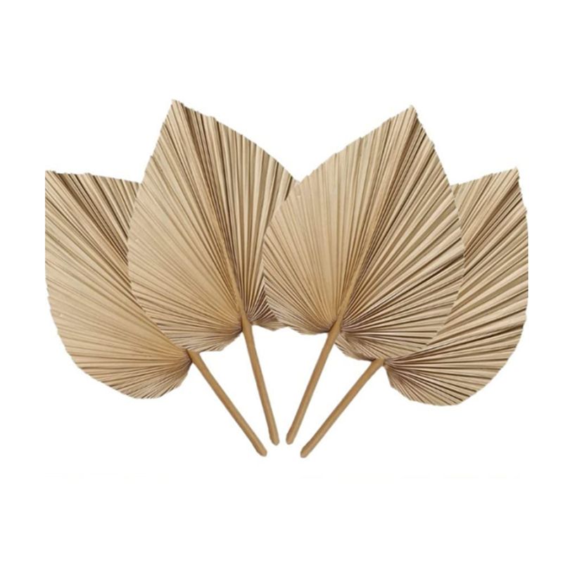 A27F-6 Adet Doğal Tropikal Kur - Palm Leaf Dried incelemesi ve fiyatı