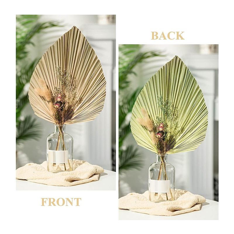 A27F-6 Adet Doğal Tropikal Kur - Palm Leaf Dried incelemesi ve fiyatı