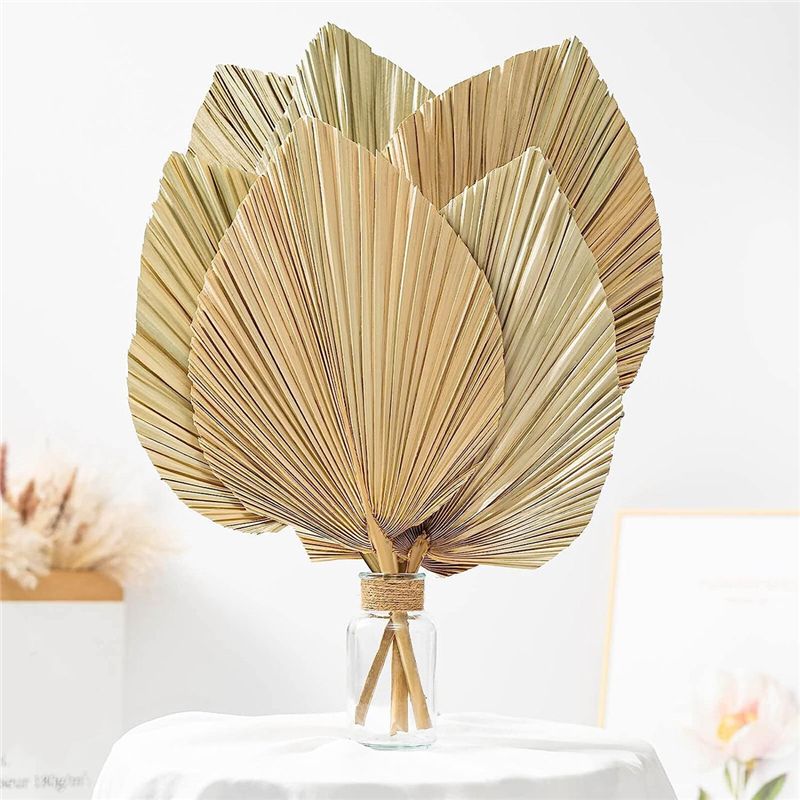 A27F-6 Adet Doğal Tropikal Kur - Palm Leaf Dried incelemesi ve fiyatı