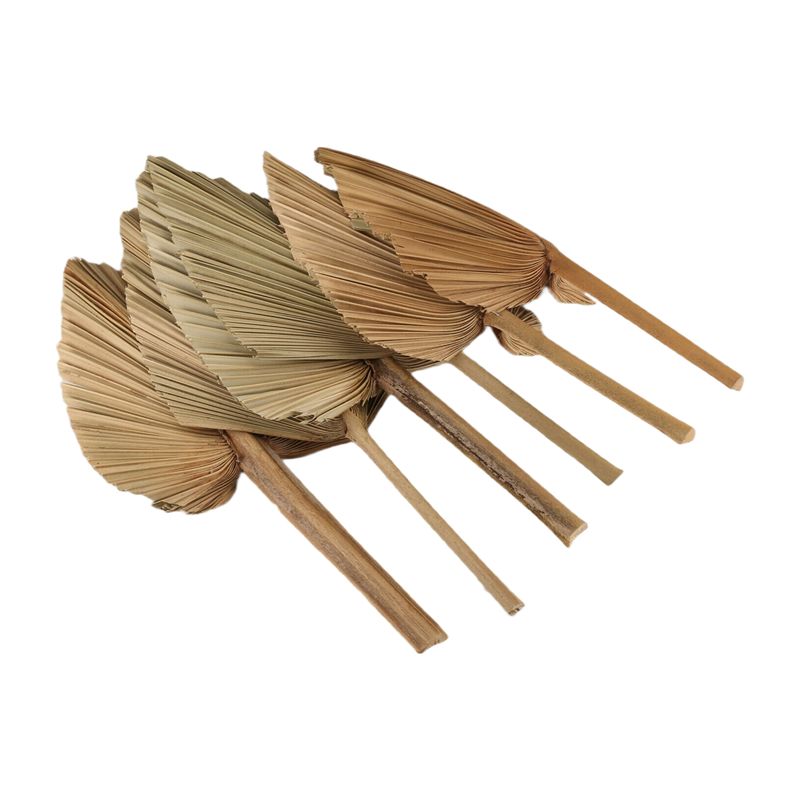 ABKO-6PCS Kurutulmuş Palmiye Y - Palm Leaf Dried incelemesi ve fiyatı