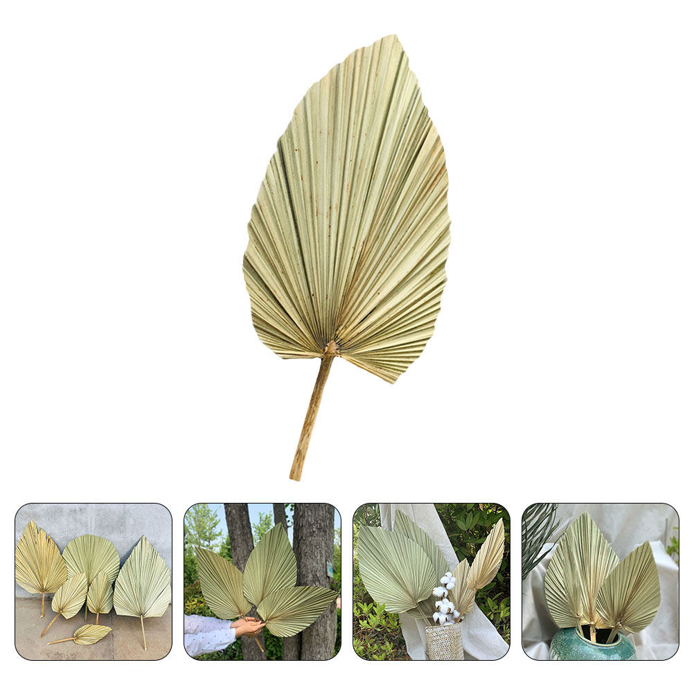 1 Adet Doğal Kurutulmuş Palmiy - Palm Leaf Dried incelemesi ve fiyatı